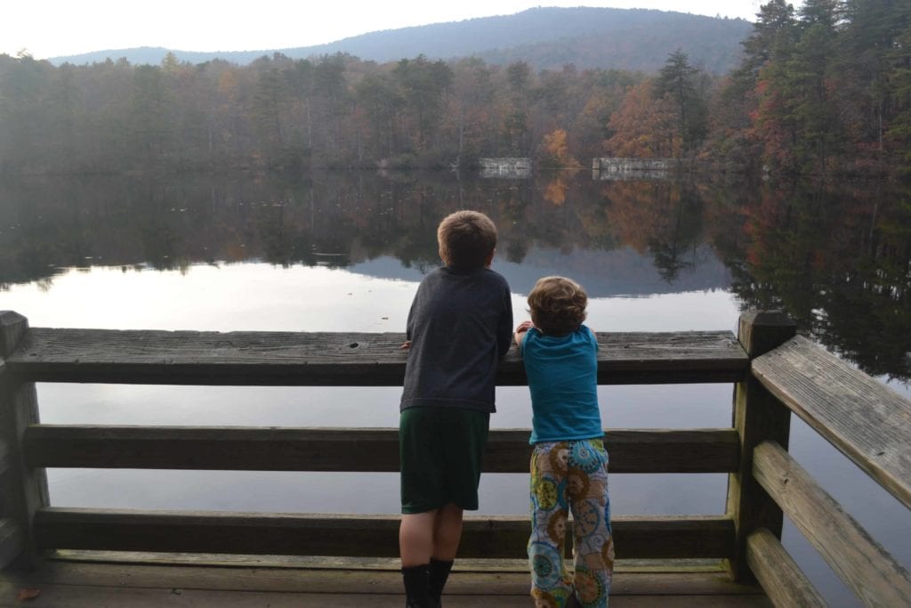 Rear View of Two Boys Watching Lake